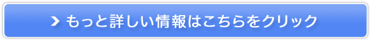 �i��SIM�Ȃ�y�A�C�T�|���o�C���z�̔��T�C�g��